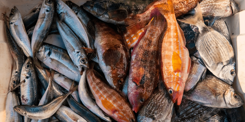 cosa fare in caso di allergia al pesce