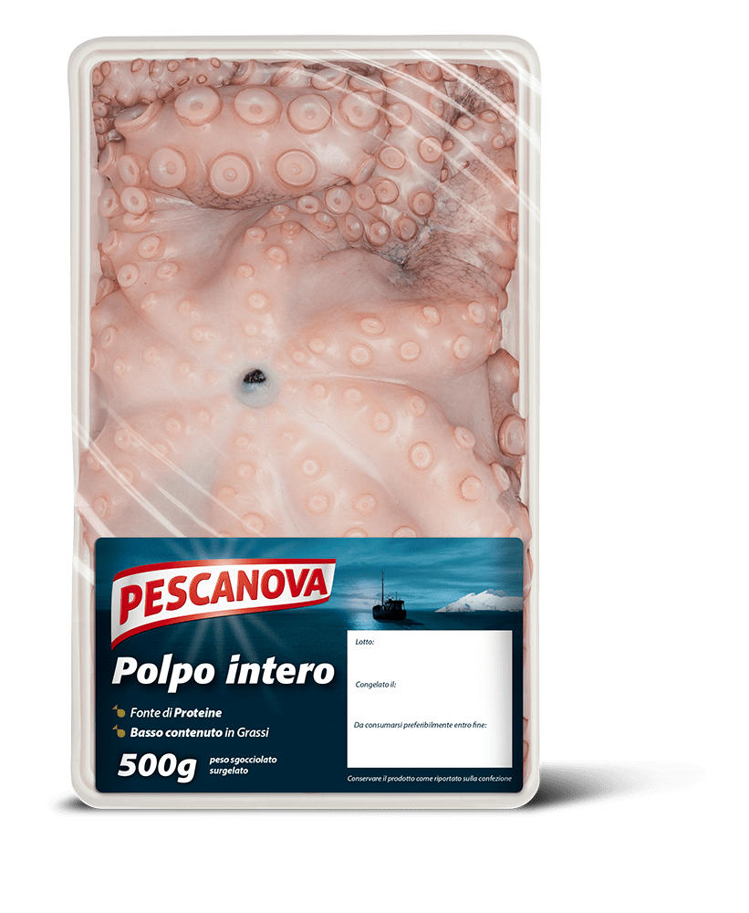 Polpo intero 500g