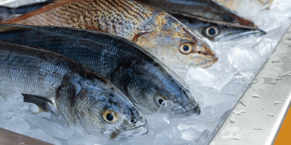 Anisakis nel pesce: ecco come evitarlo