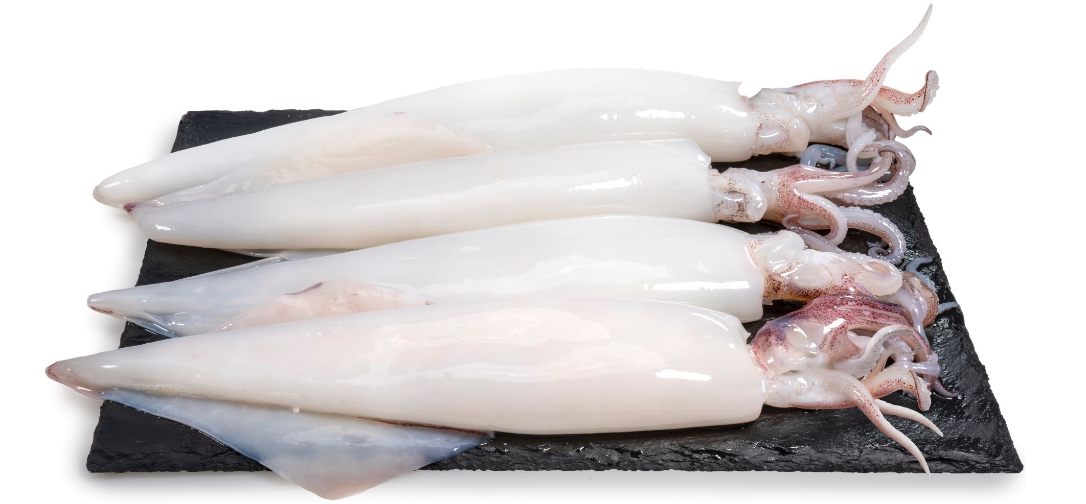 Calamari: i valori nutrizionali e le caratteristiche di questo pesce eccezionale