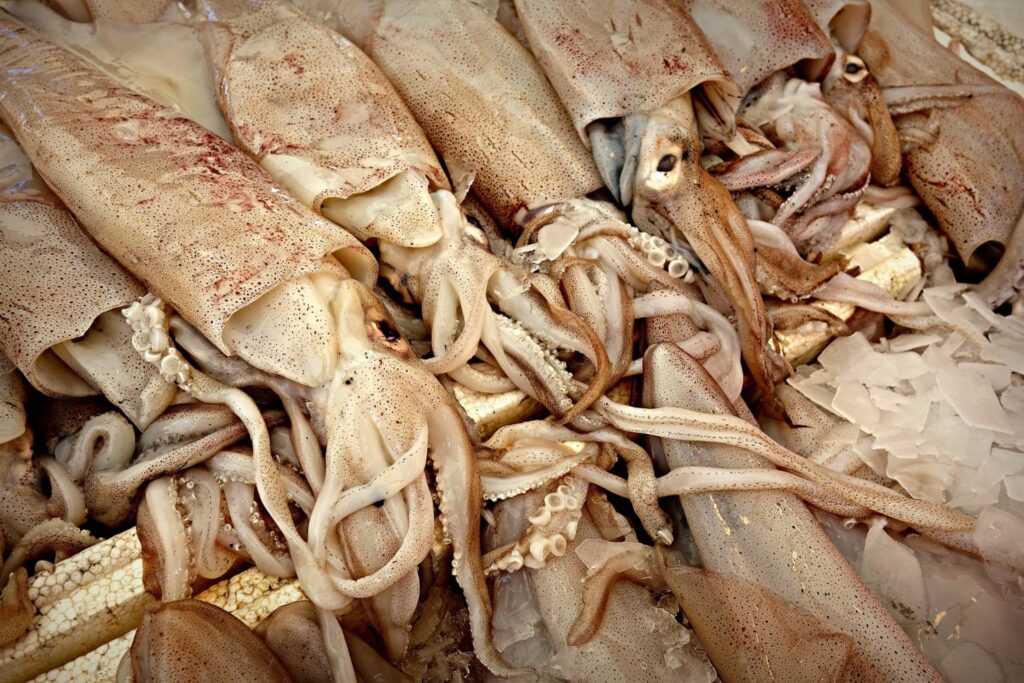 Calamari pronti per essere cucinati